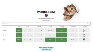 wordle-cat